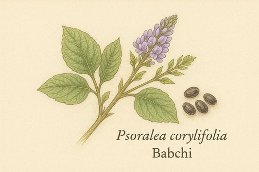 The Benefits of Bakuchiol: Nature’s Retinal